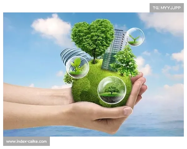 绿色办赛成新趋势 赛事环保举措引领可持续发展新风潮